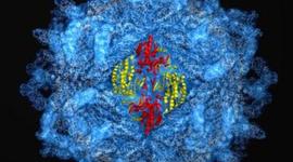 Timeline: Atomic Timeline: Tristan Cisco