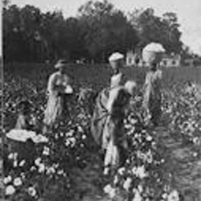 Timeline: Slavery & the Events Leading up to the Civil War