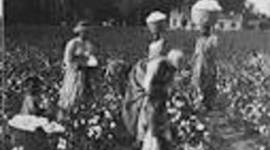 Timeline: Slavery & the Events Leading up to the Civil War