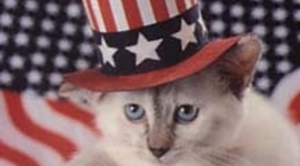 Timeline: American Revolution Timeline