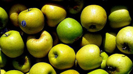 Timeline: An Apple a day