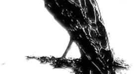 Timeline: Edgar Allen Poe- Sam #37