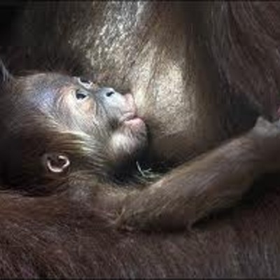 Timeline: Empiezo a vivir