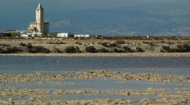 Timeline: Trayectoria de mis Estudios