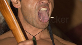 Timeline: Maori wars