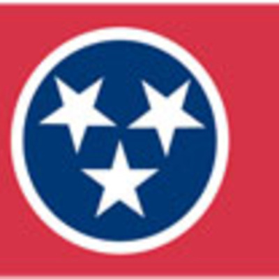 Timeline: lynn triplett