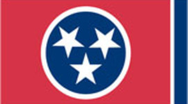 Timeline: lynn triplett