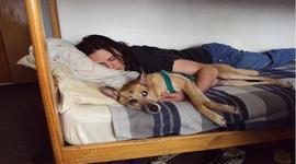 Timeline: Diego Benegas time line