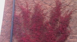 Timeline: Mina kollegor