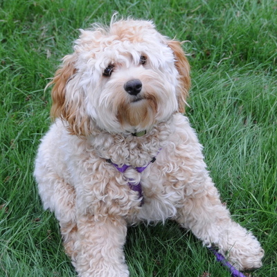 Timeline: Pius Family