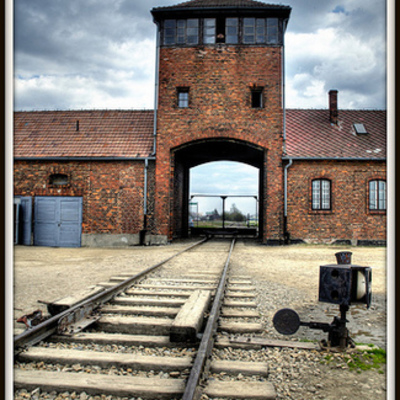 Timeline: Shelgree TMTT Timeline