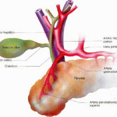 Timeline: patologia cronica de la via biliar
