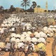 Islam3