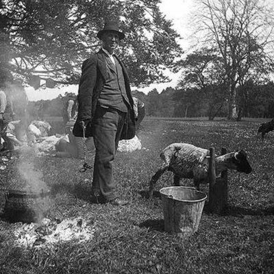 Timeline: Immigration and Westward Expansion