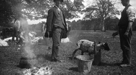 Timeline: Immigration and Westward Expansion