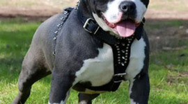 Timeline: John Locke