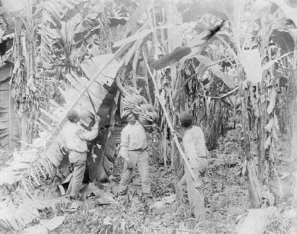 Conflicto En Colombia Timeline Timetoast Timelines