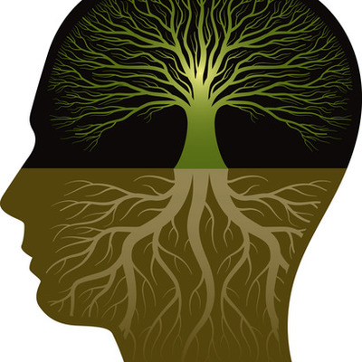 Timeline: Brief History of Information and Knowledge