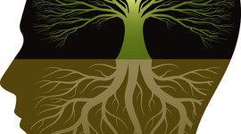 Timeline: Brief History of Information and Knowledge