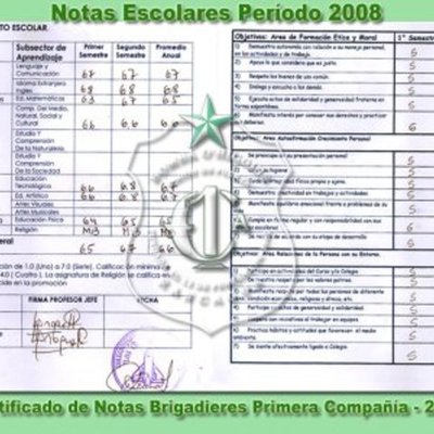 Timeline: Mi curriculum Escolar