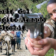 Conflicto