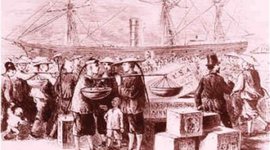 Timeline: Harry Shum Jr.