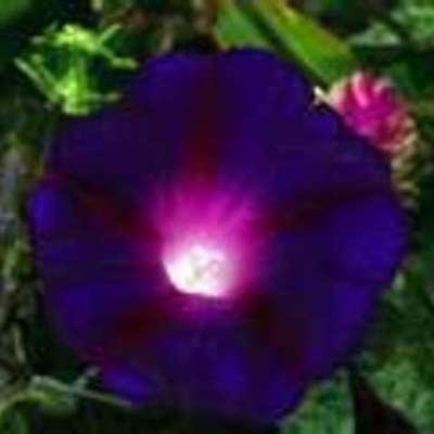 Timeline: events leading up to the american revolution