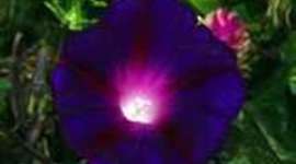 Timeline: events leading up to the american revolution