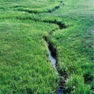 Timeline: Theodore Roosevelt The River of Doubt