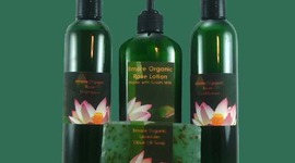 Timeline: Shampoo & Soap