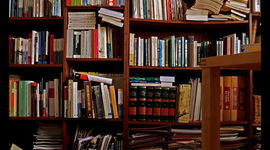 Timeline: Mis estudios