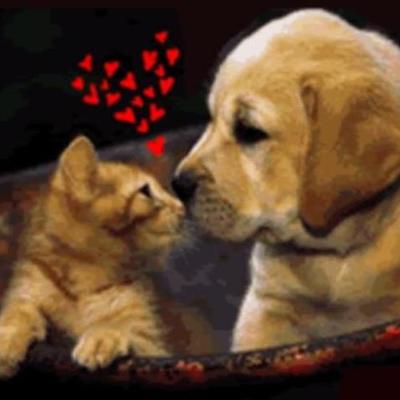 Timeline: los puentes colgantes