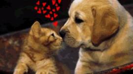 Timeline: los puentes colgantes