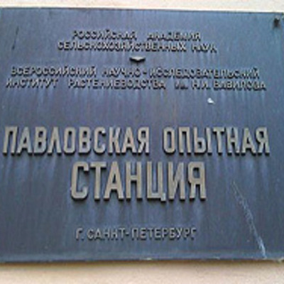 Timeline:  Павловская опытная станция: закон против морали