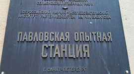 Timeline:  Павловская опытная станция: закон против морали