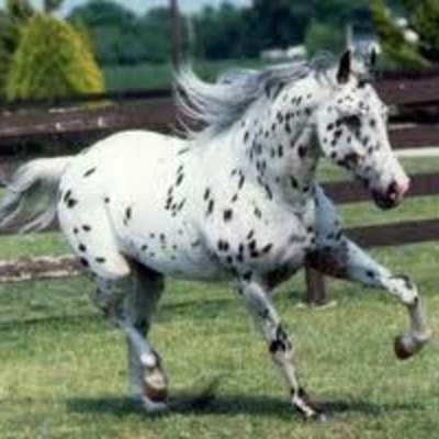 Timeline: Caitlyn Burke