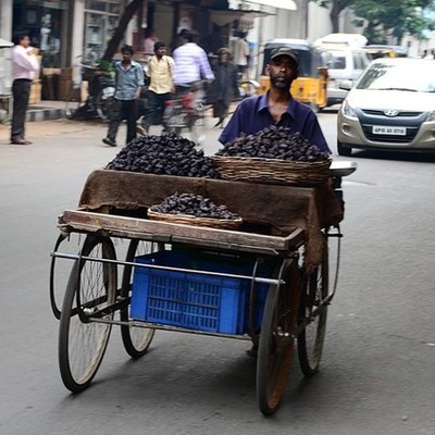 Timeline: push cart wars Noah W.