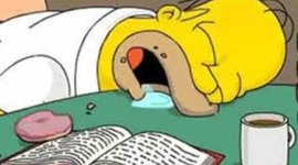 Timeline: Mis Estudios