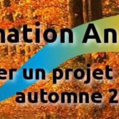 Timeline: Animacoop automne 2011