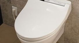 Timeline: Toilets