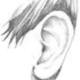 Ear