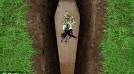 Timeline: Premature Burial -Dagney, Julia, Sean