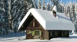 Timeline: December 2011