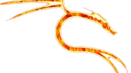 Timeline: school timeline