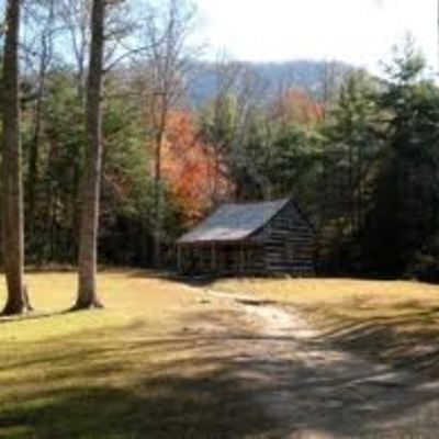 Timeline: De Anna's Timeline