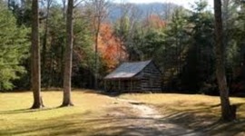 Timeline: De Anna's Timeline