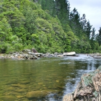 Timeline: tourisim history in NZ