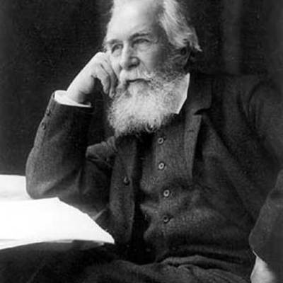 Timeline: Historia de la ecologia