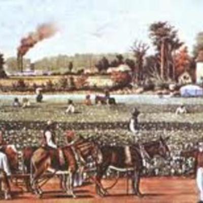 Timeline: Slavery and the South 1790s to 1850s in America