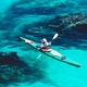 Kayaking in the abel tasman